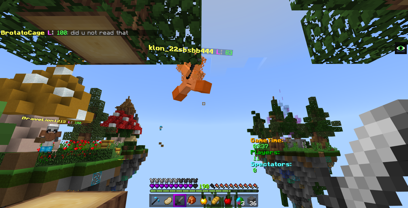 Minecraft Screenshot 2019.02.20 - 22.07.49.32.png