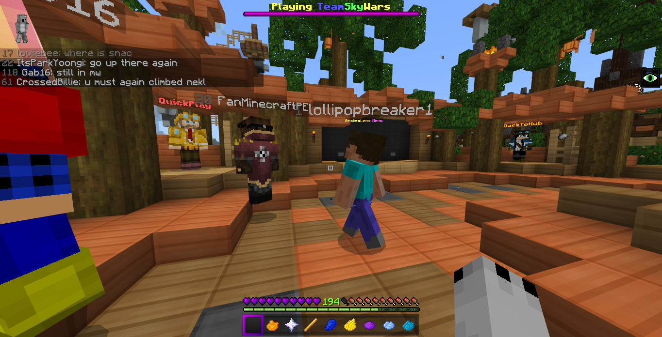 Minecraft Screenshot 2019.02.23 - 22.12.02.13.png