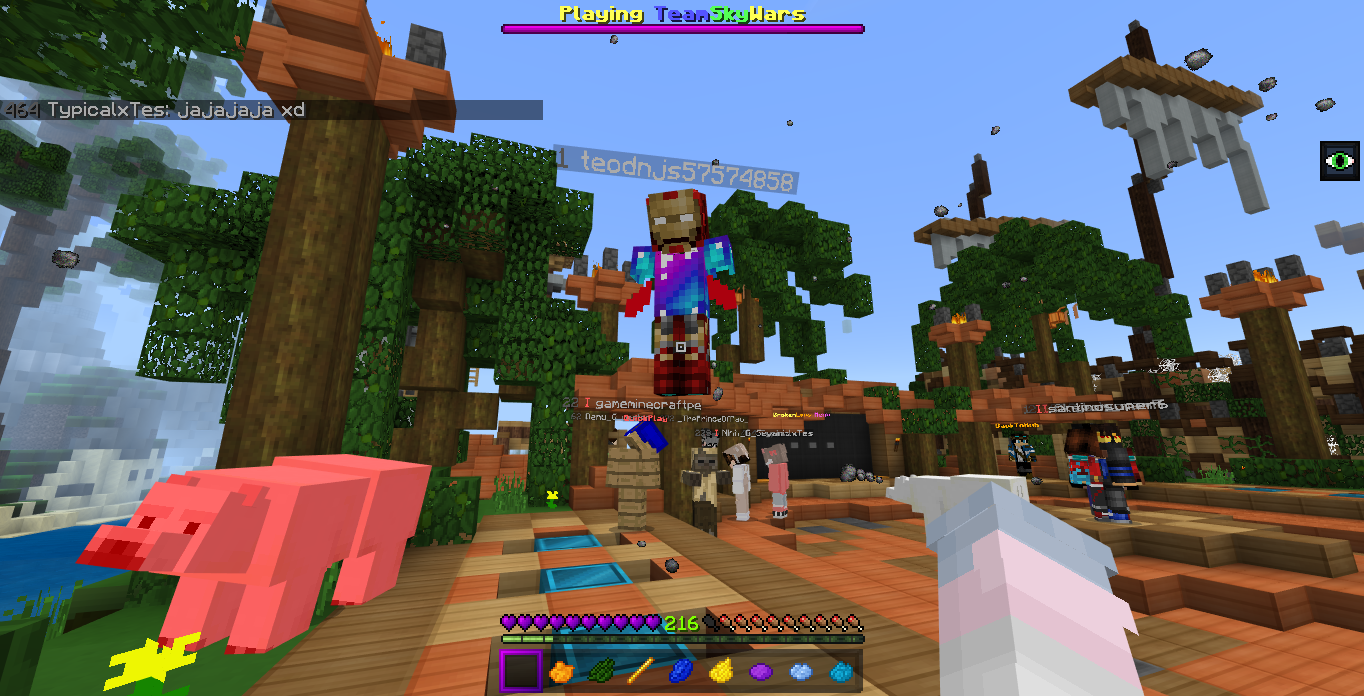 Minecraft Screenshot 2019.03.09 - 23.10.06.91.png