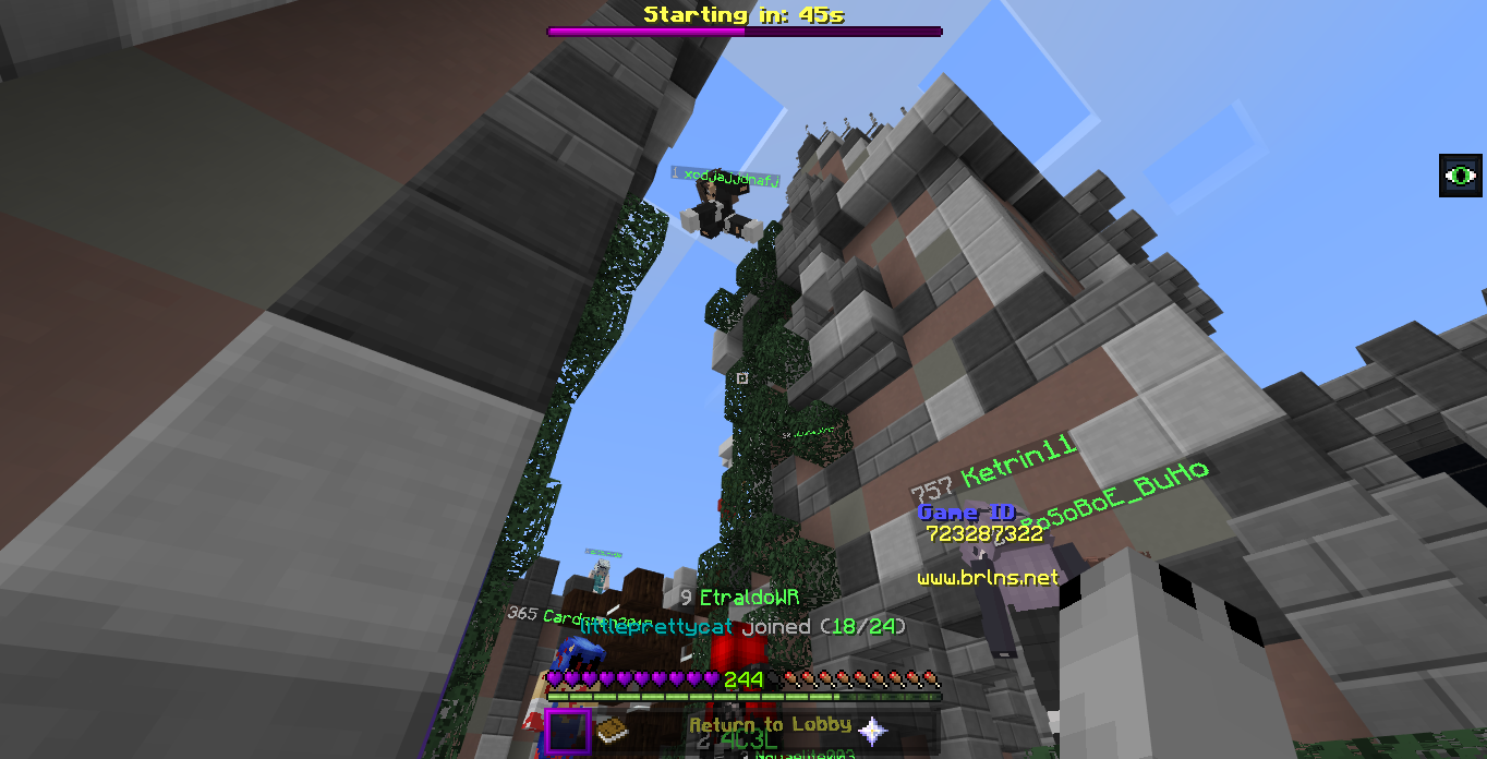 Minecraft Screenshot 2019.06.23 - 10.32.34.61.png