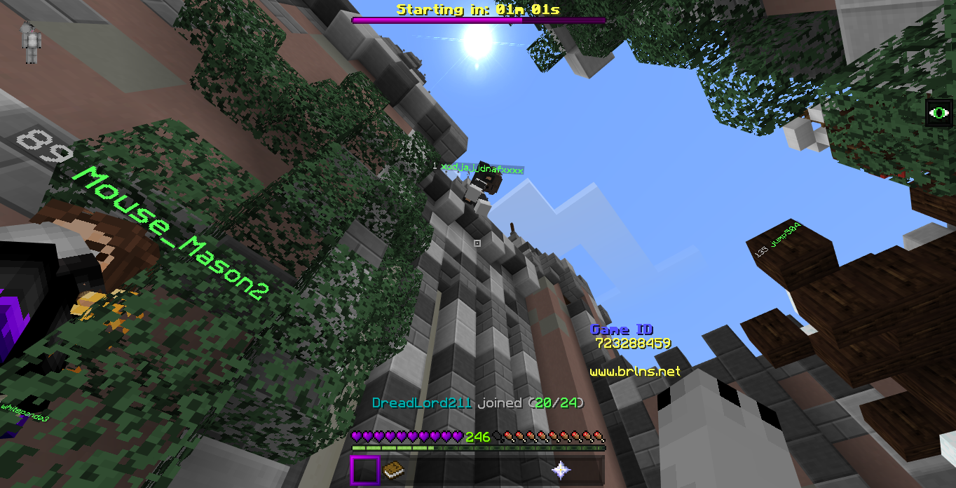 Minecraft Screenshot 2019.06.23 - 11.02.47.22.png