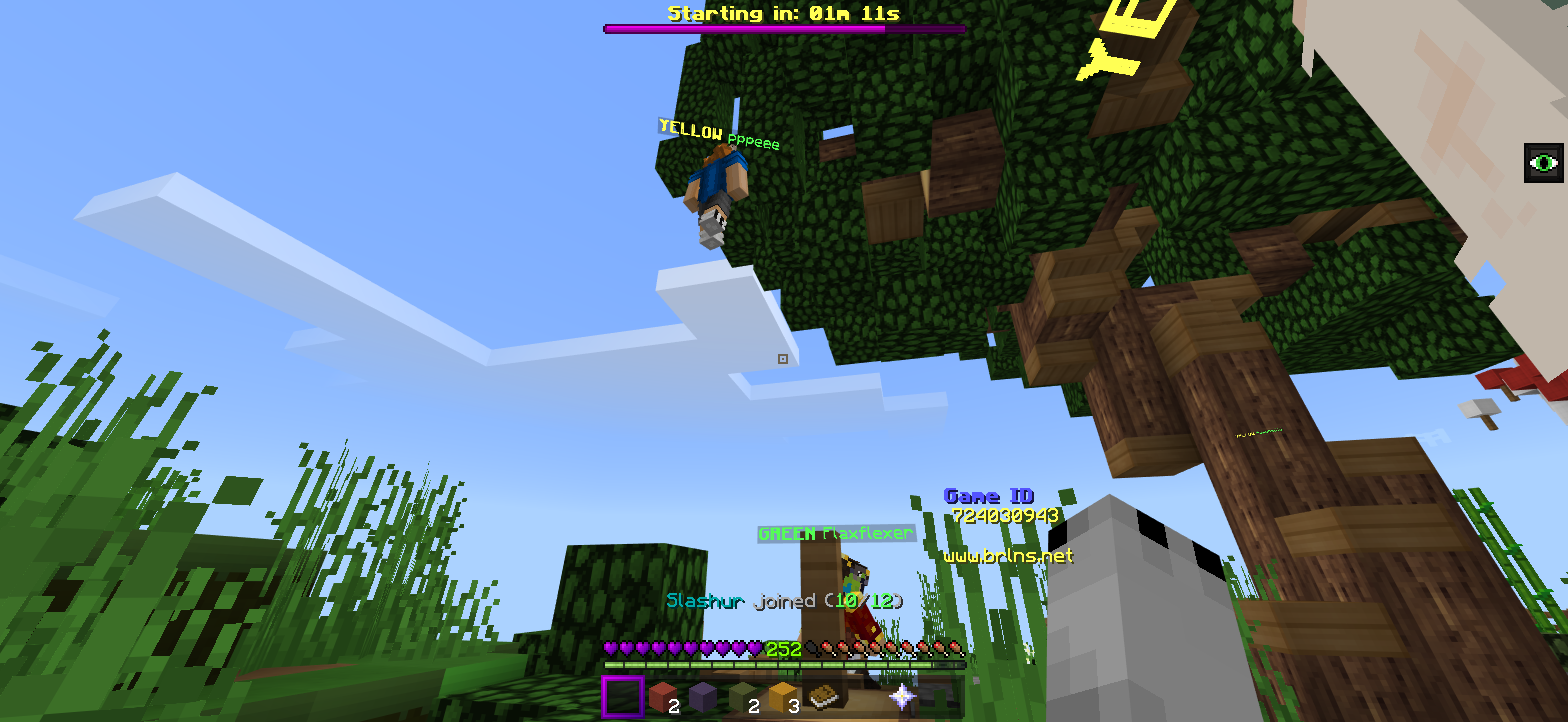 Minecraft Screenshot 2019.07.21 - 12.57.46.47.png