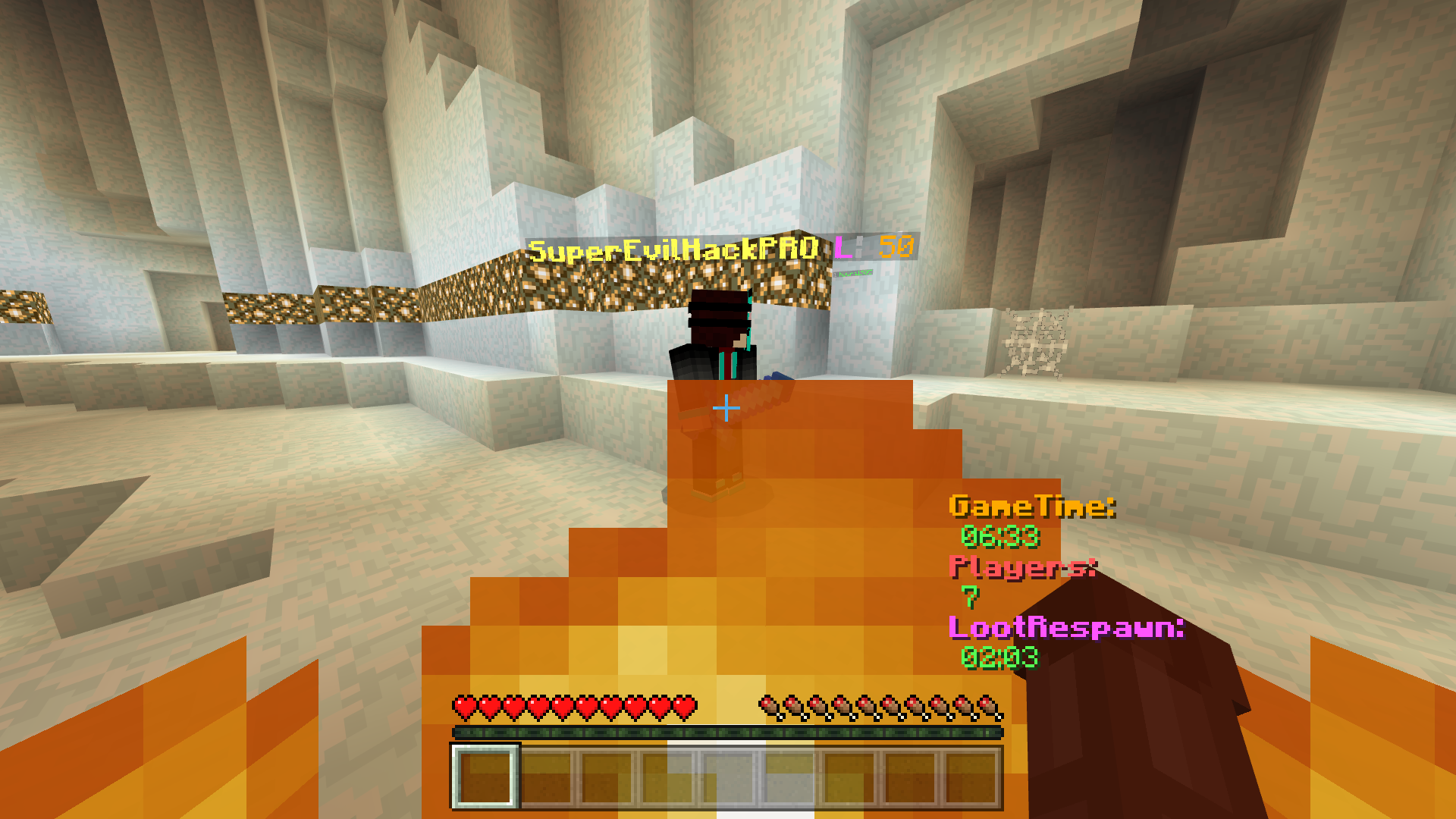 Minecraft_ Windows 10 Edition 2017-02-03 9_27_46 PM.png