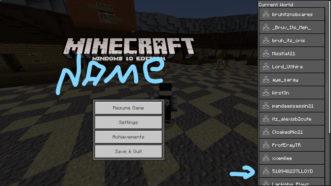 Minecraft_ Windows 10 Edition 28_08_2017 23_14_42_LI.jpg