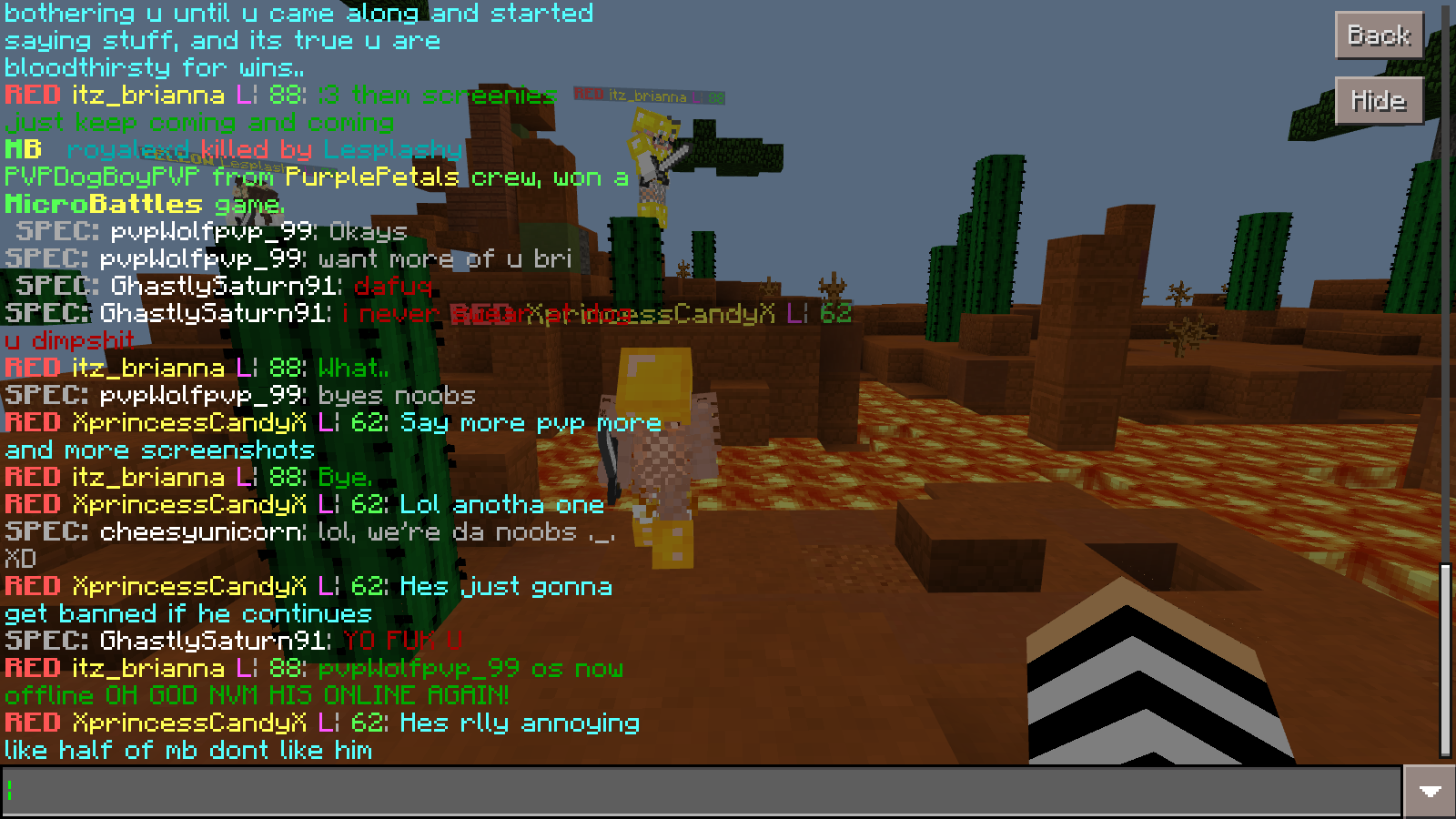 Minecraft_ Windows 10 Edition 5_13_2017 12_08_09 AM.png