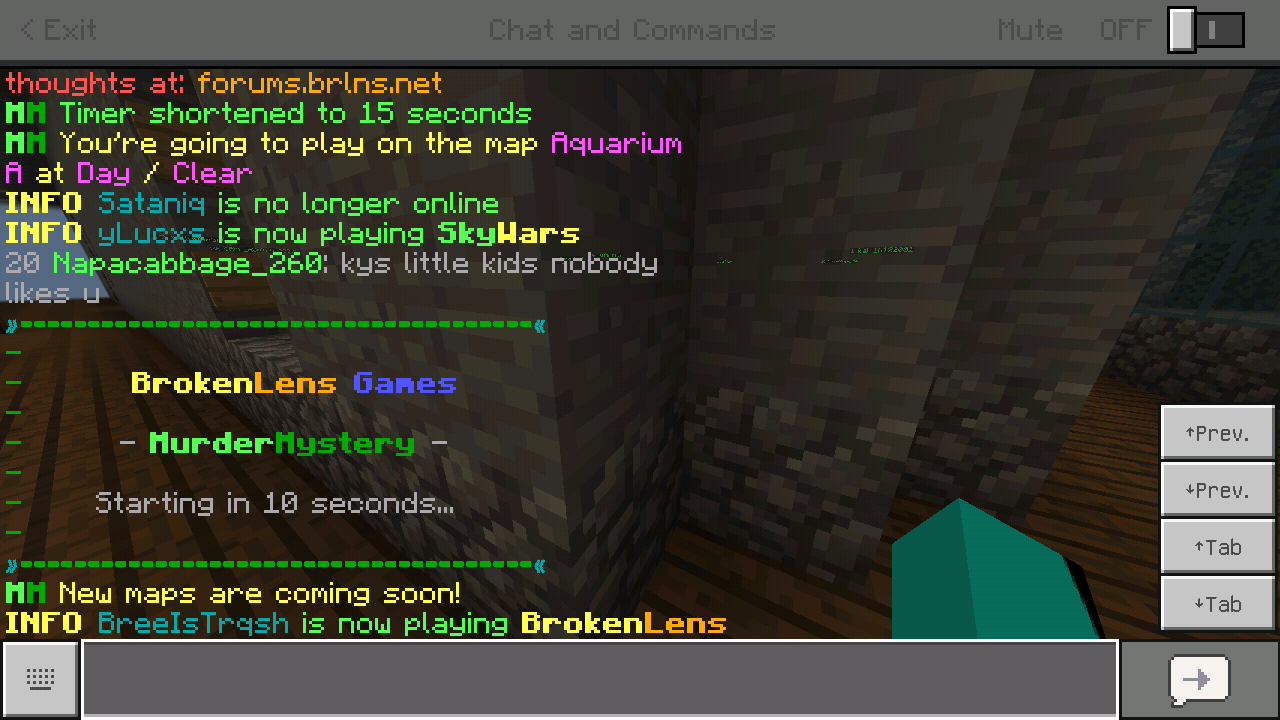 Minecraft_2018-11-24-20-45-40.png