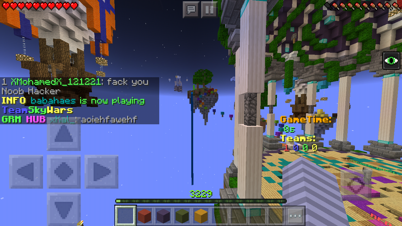 Minecraft_2018-11-24-22-01-48.png