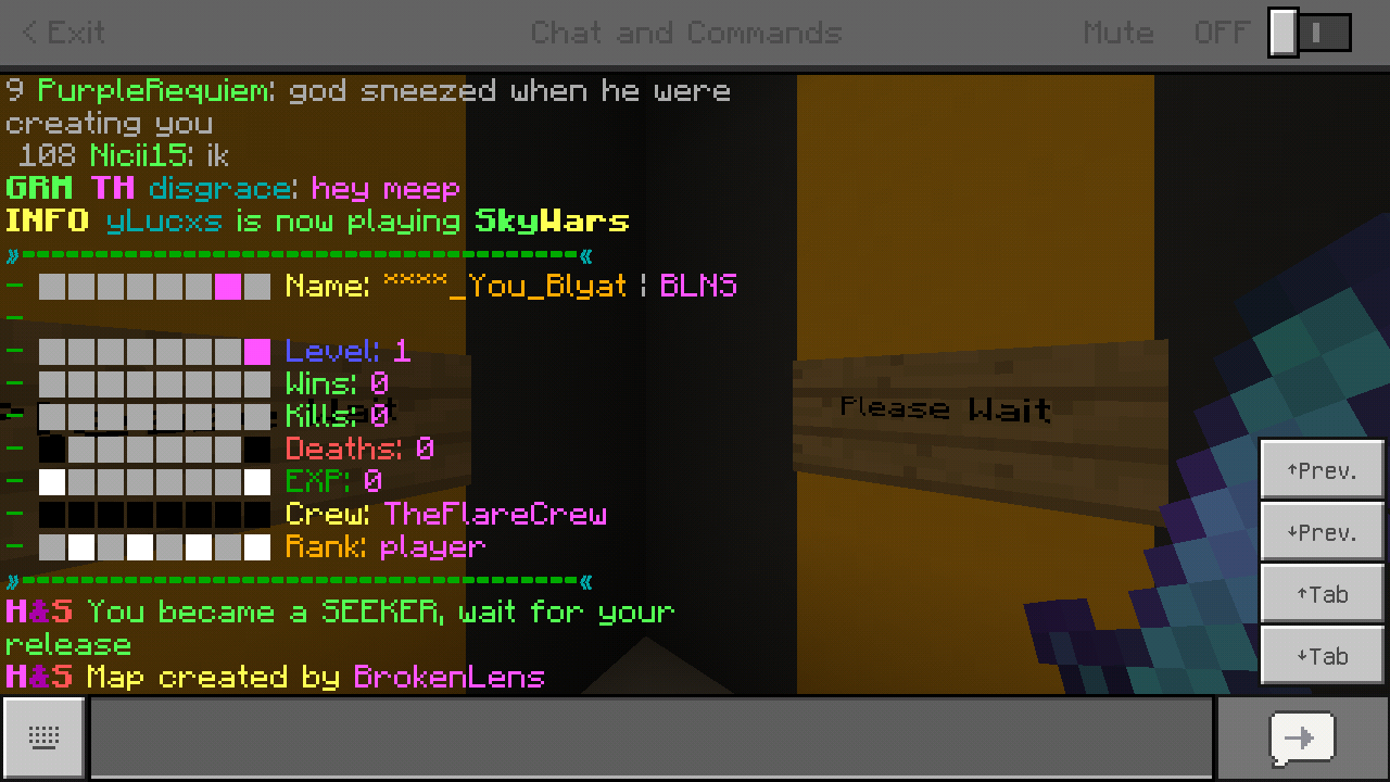 Minecraft_2018-11-25-18-10-25.png