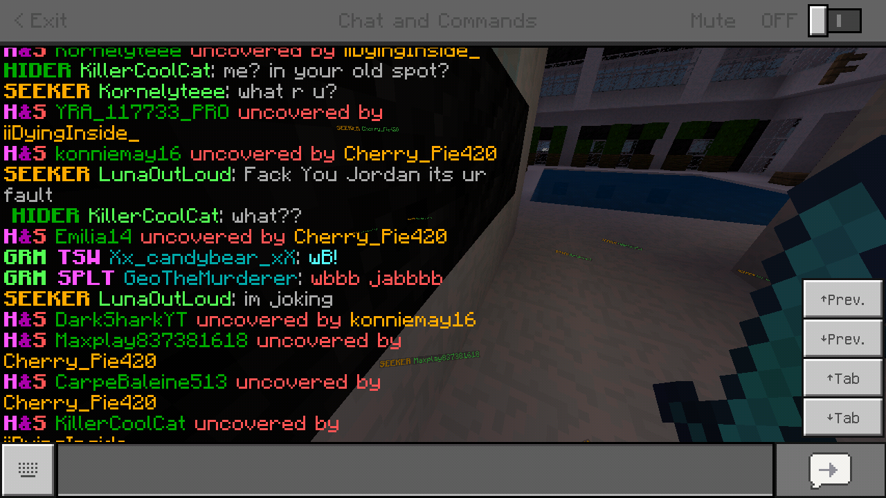 Minecraft_2018-11-27-20-47-18.png