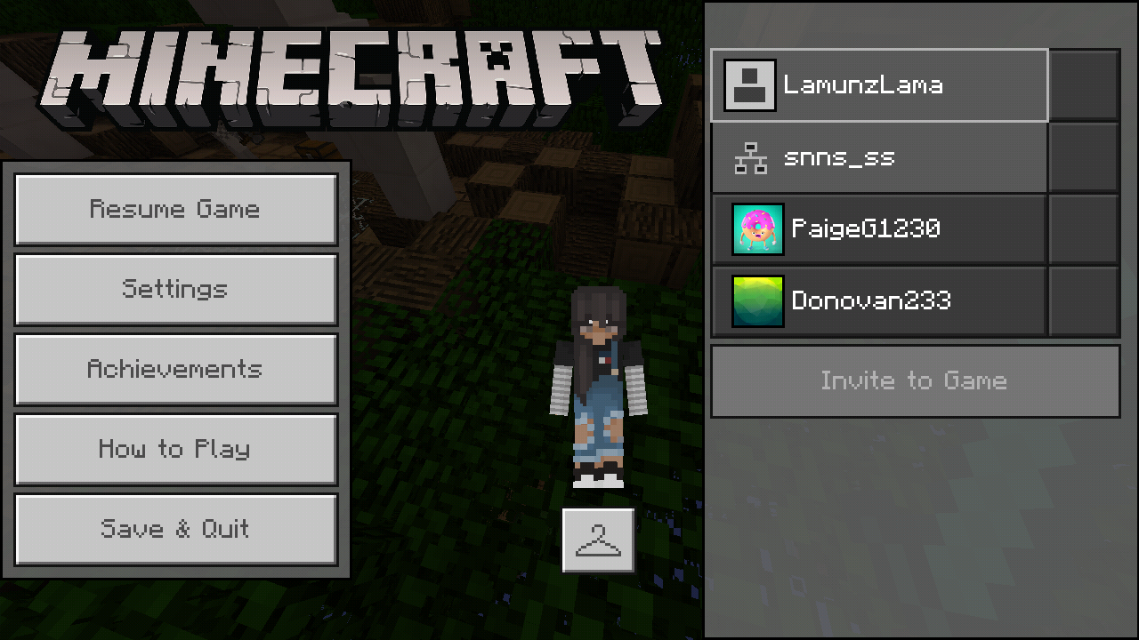 Minecraft_2018-11-27-23-42-34.png