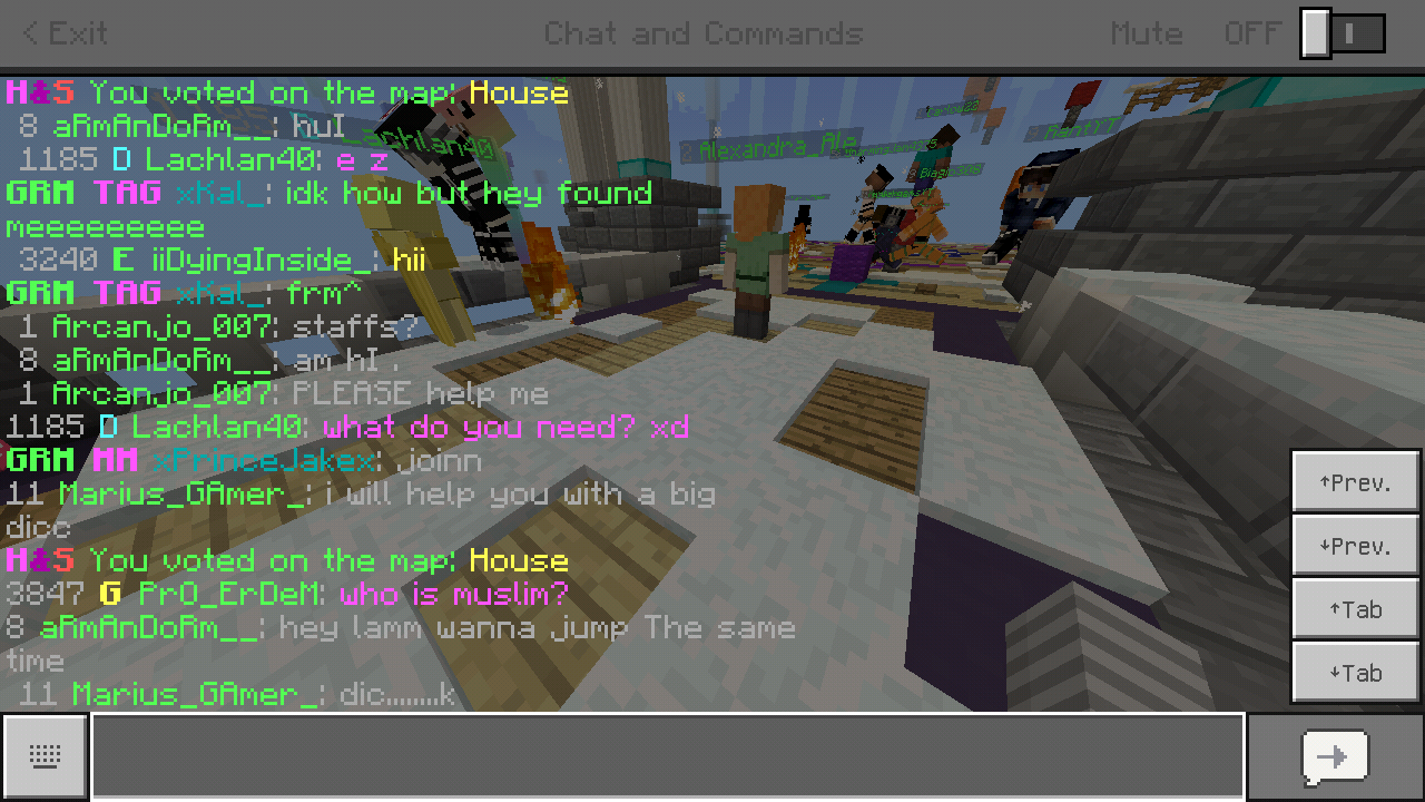 Minecraft_2018-11-28-21-00-24.png