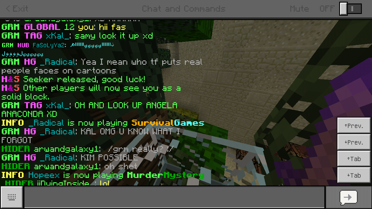 Minecraft_2018-11-28-21-51-36.png