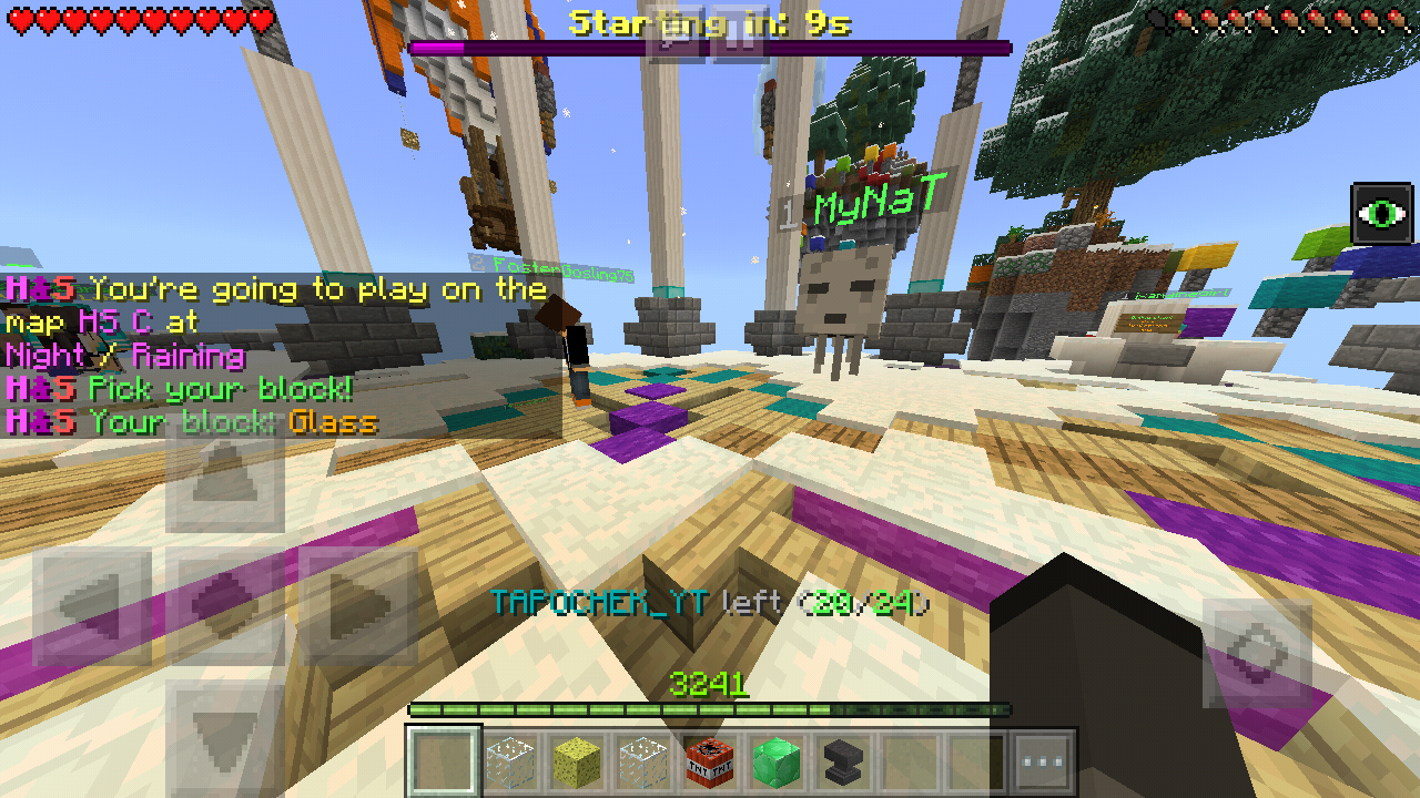 Minecraft_2018-11-29-20-02-47.png