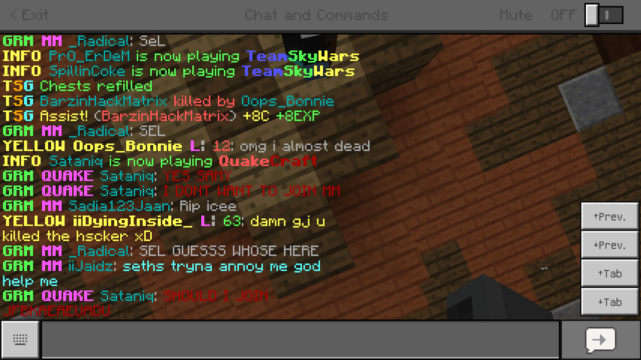 Minecraft_2018-12-01-15-30-10.png