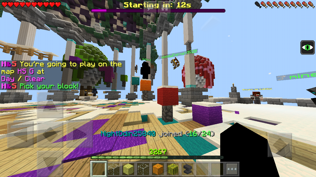 Minecraft_2018-12-06-20-40-23.png