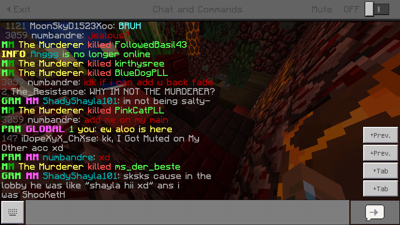 Minecraft_2018-12-09-09-41-35.png