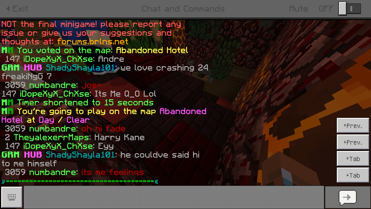 Minecraft_2018-12-09-09-41-46.png