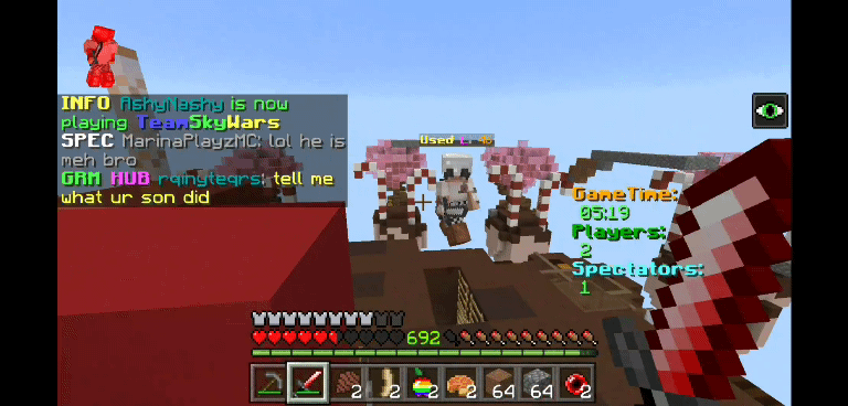 Minecraft_2018-12-28-12-13-22_1.gif
