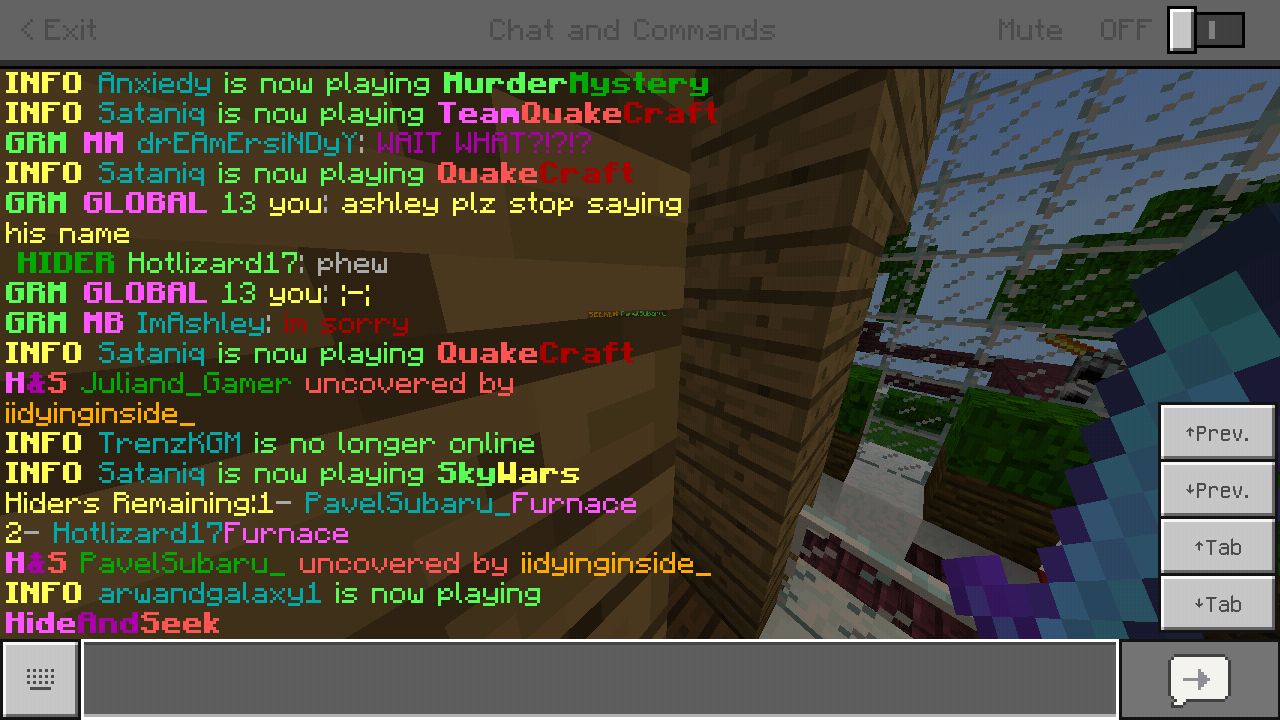 Minecraft_2019-01-03-15-37-56.png