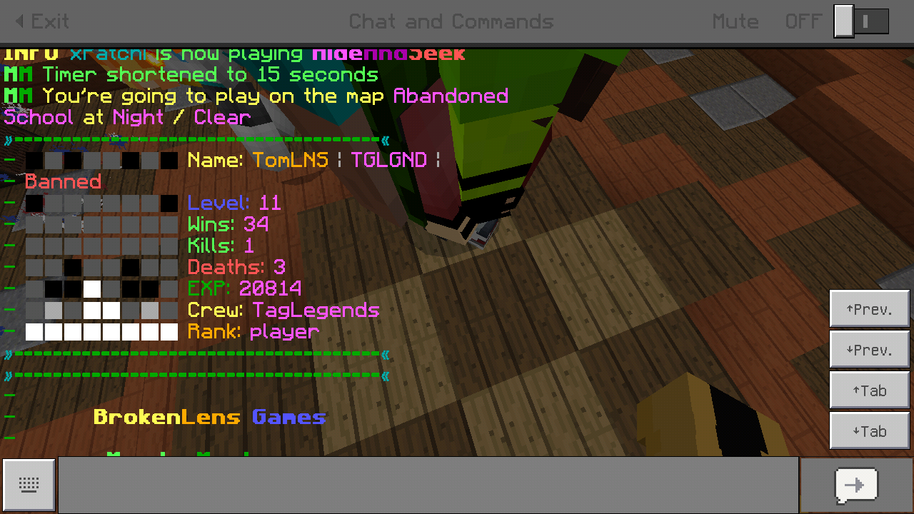 Minecraft_2019-01-04-15-30-15.png