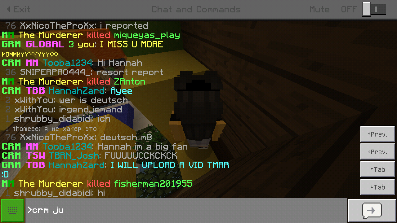 Minecraft_2019-01-04-16-37-16.png