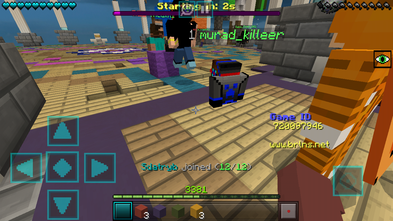 Minecraft_2019-01-31-19-20-17.png
