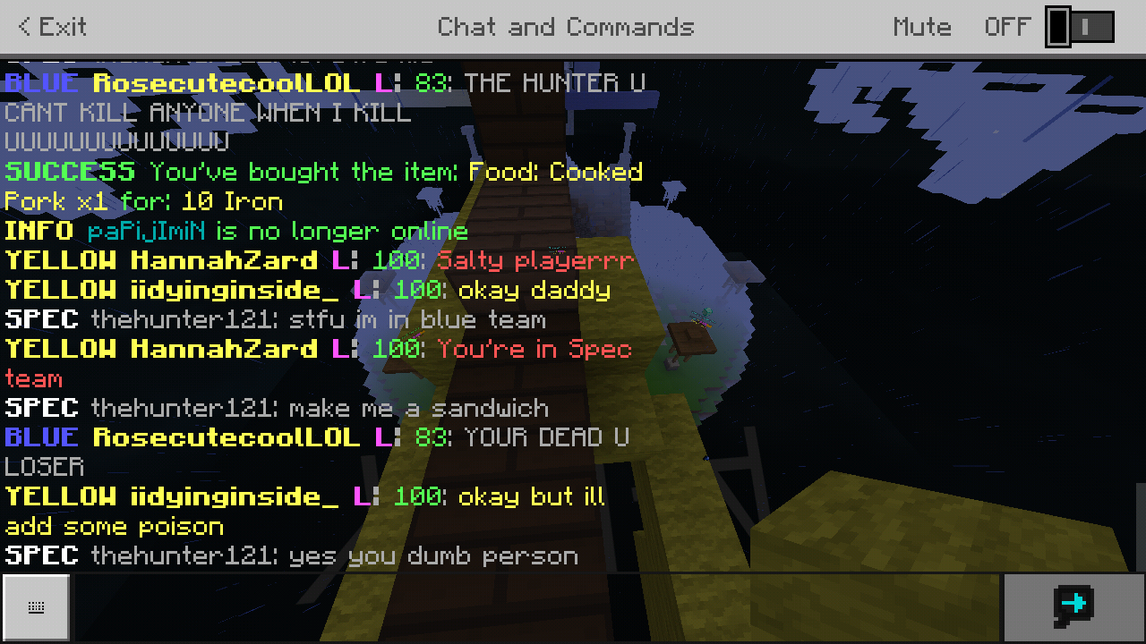 Minecraft_2019-02-06-04-14-13.png