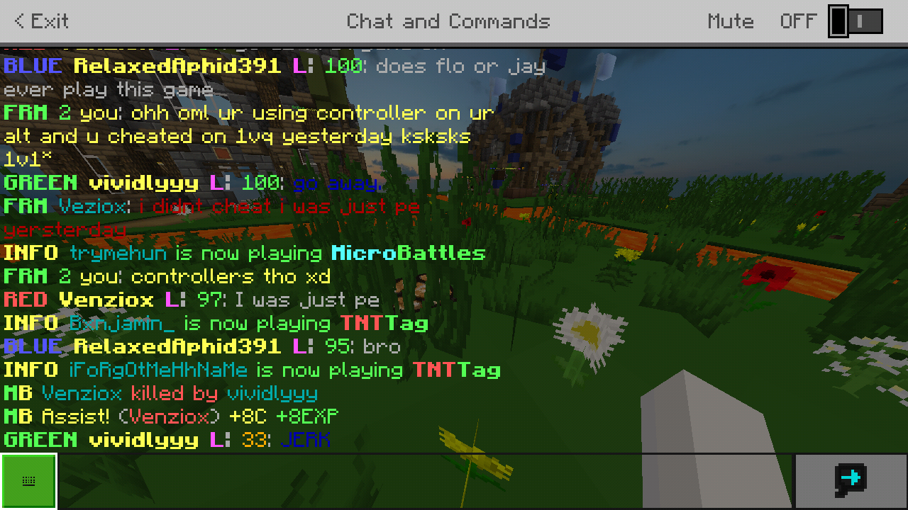 Minecraft_2019-02-12-01-33-29.png