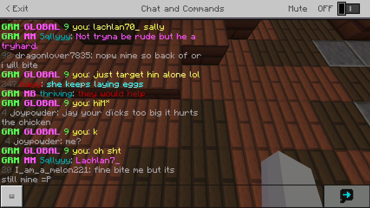Minecraft_2019-02-14-03-51-22.png