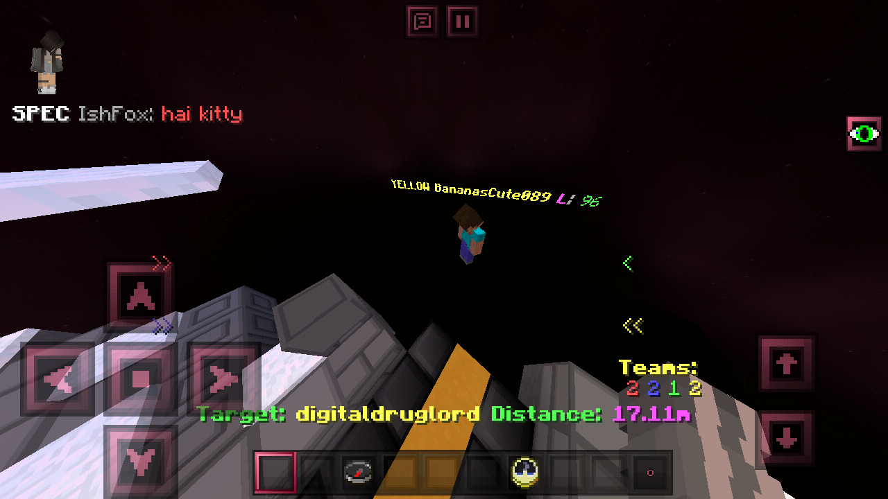 Minecraft_2019-02-17-23-21-32.png