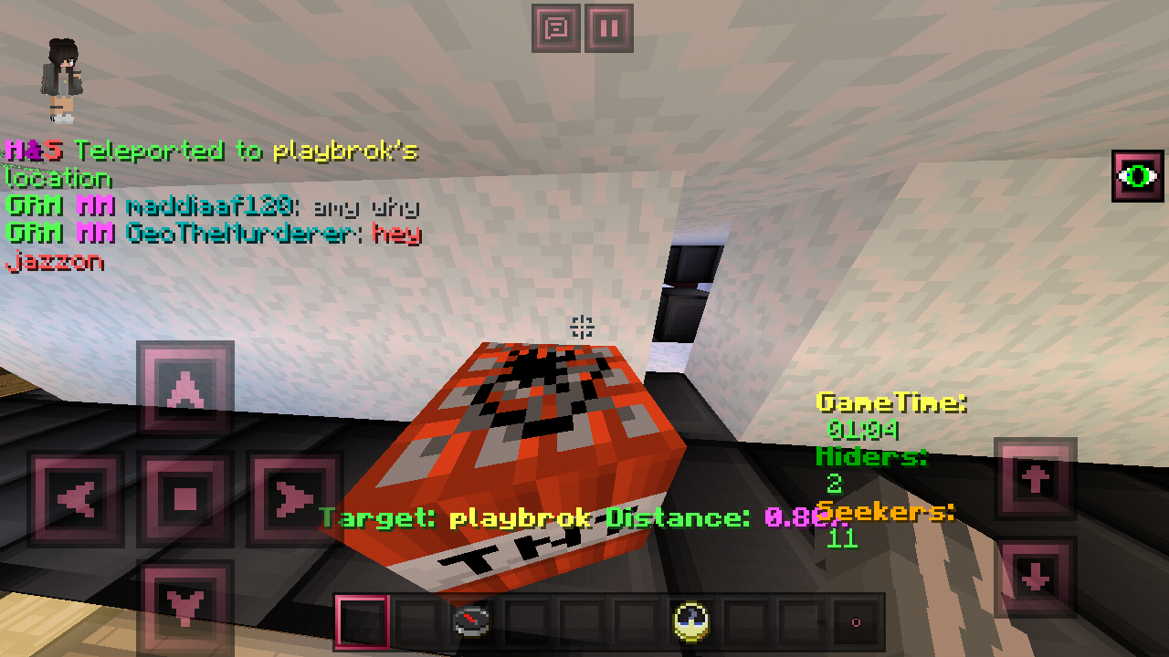 Minecraft_2019-02-19-21-51-19.png