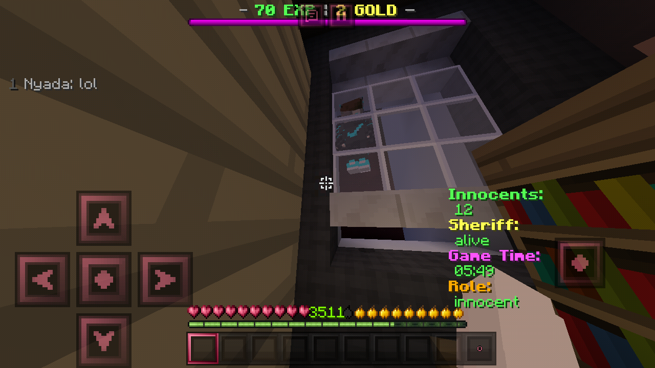 Minecraft_2019-02-24-07-09-55.png