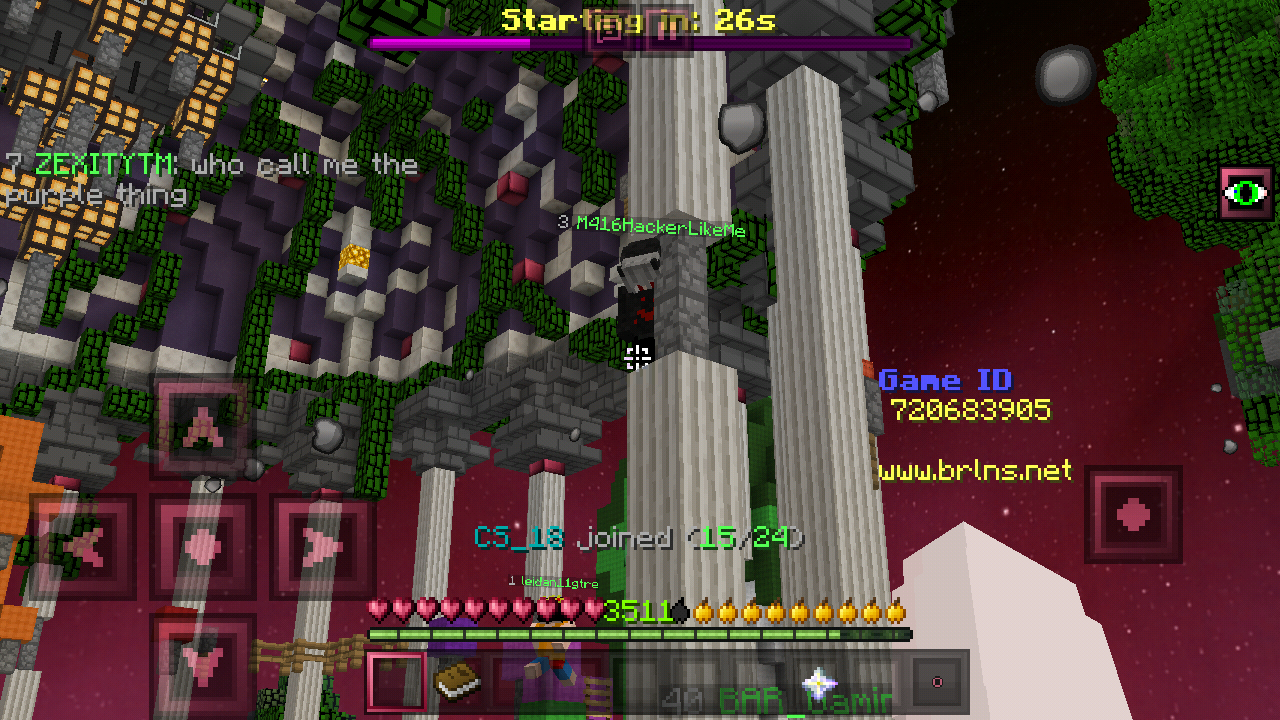 Minecraft_2019-02-24-07-13-50.png