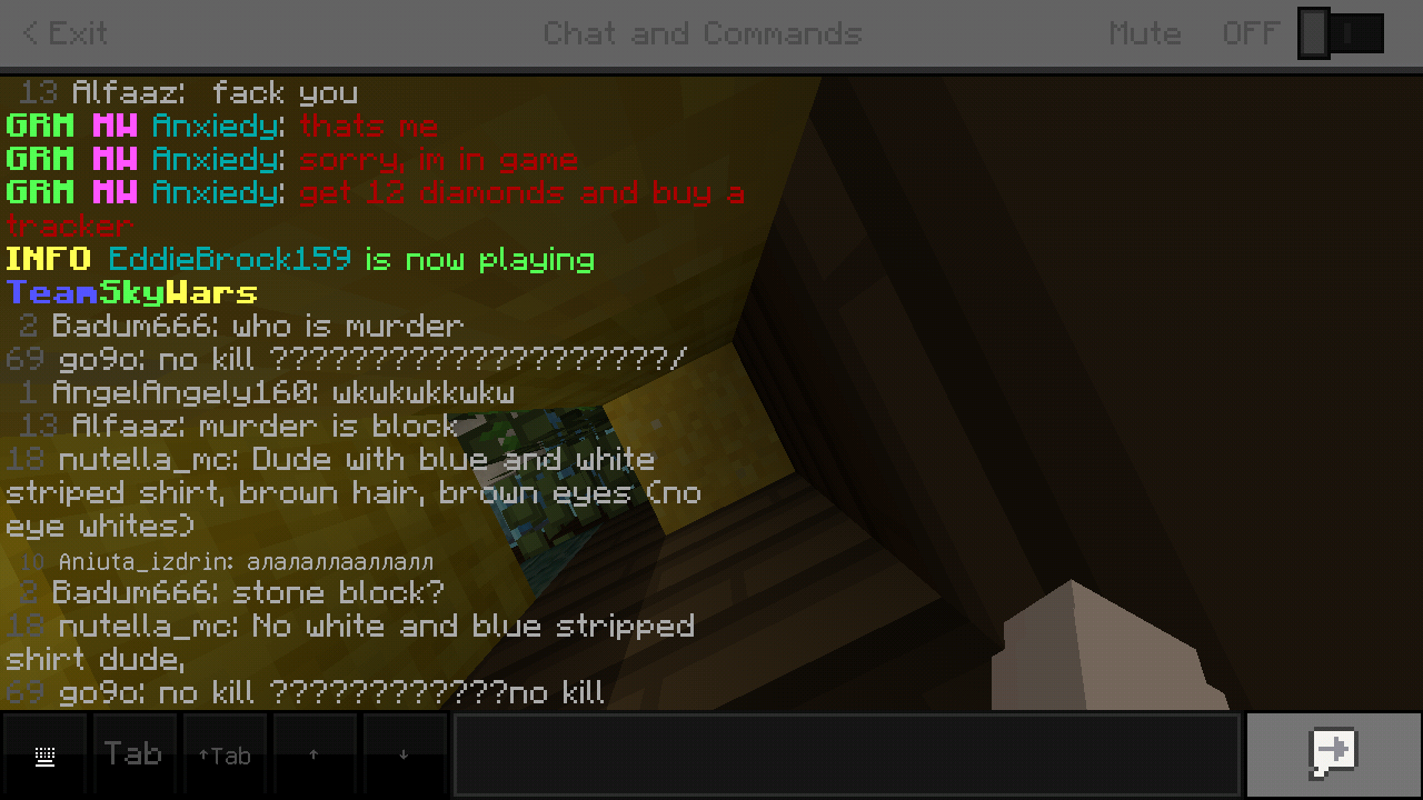 Minecraft_2019-02-24-07-52-39.png