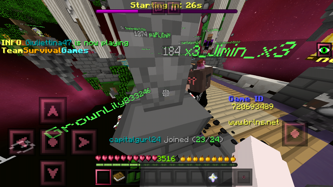 Minecraft_2019-02-24-14-46-24.png