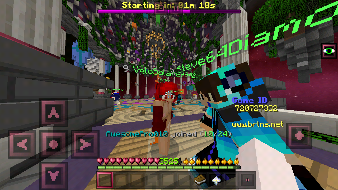 Minecraft_2019-02-26-11-41-58.png