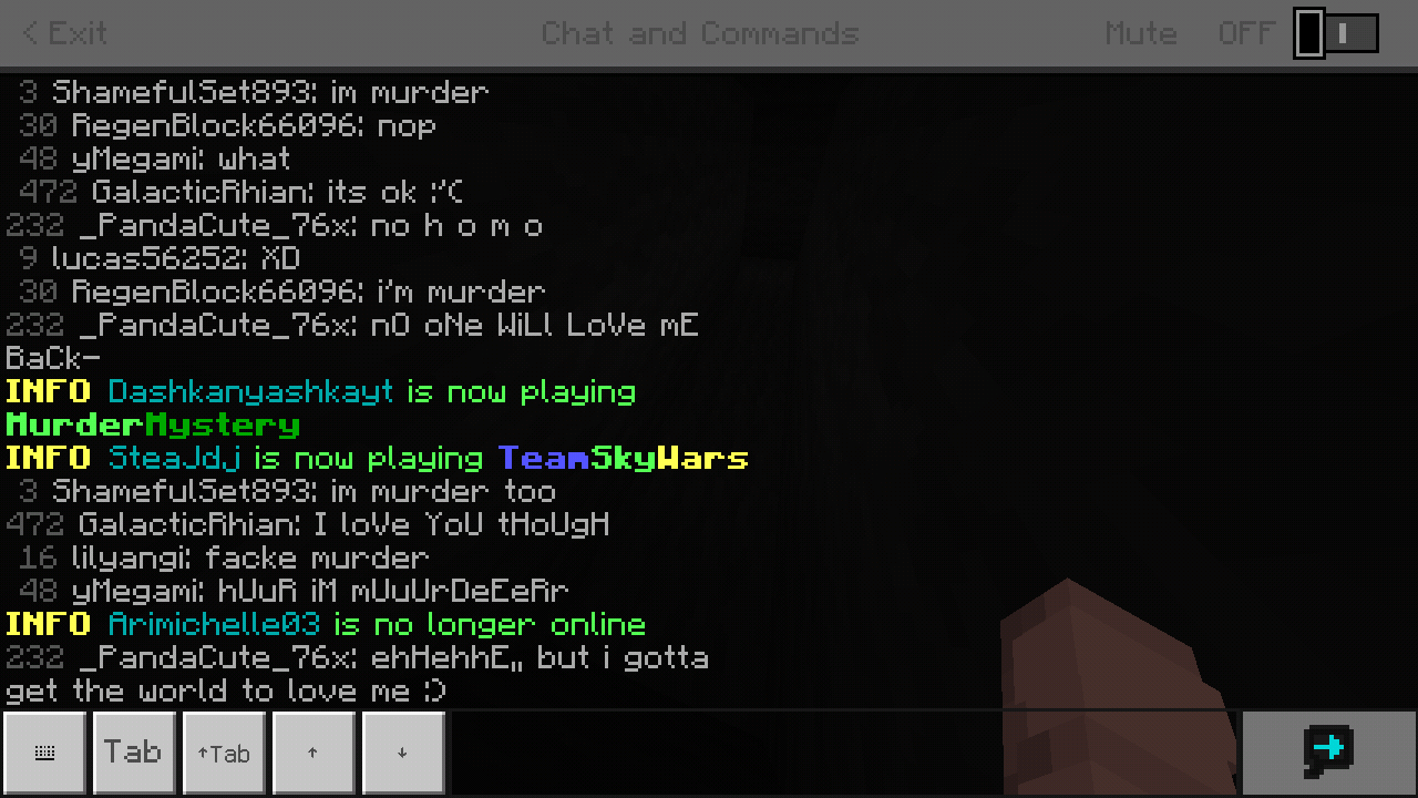 Minecraft_2019-03-01-21-32-32.png