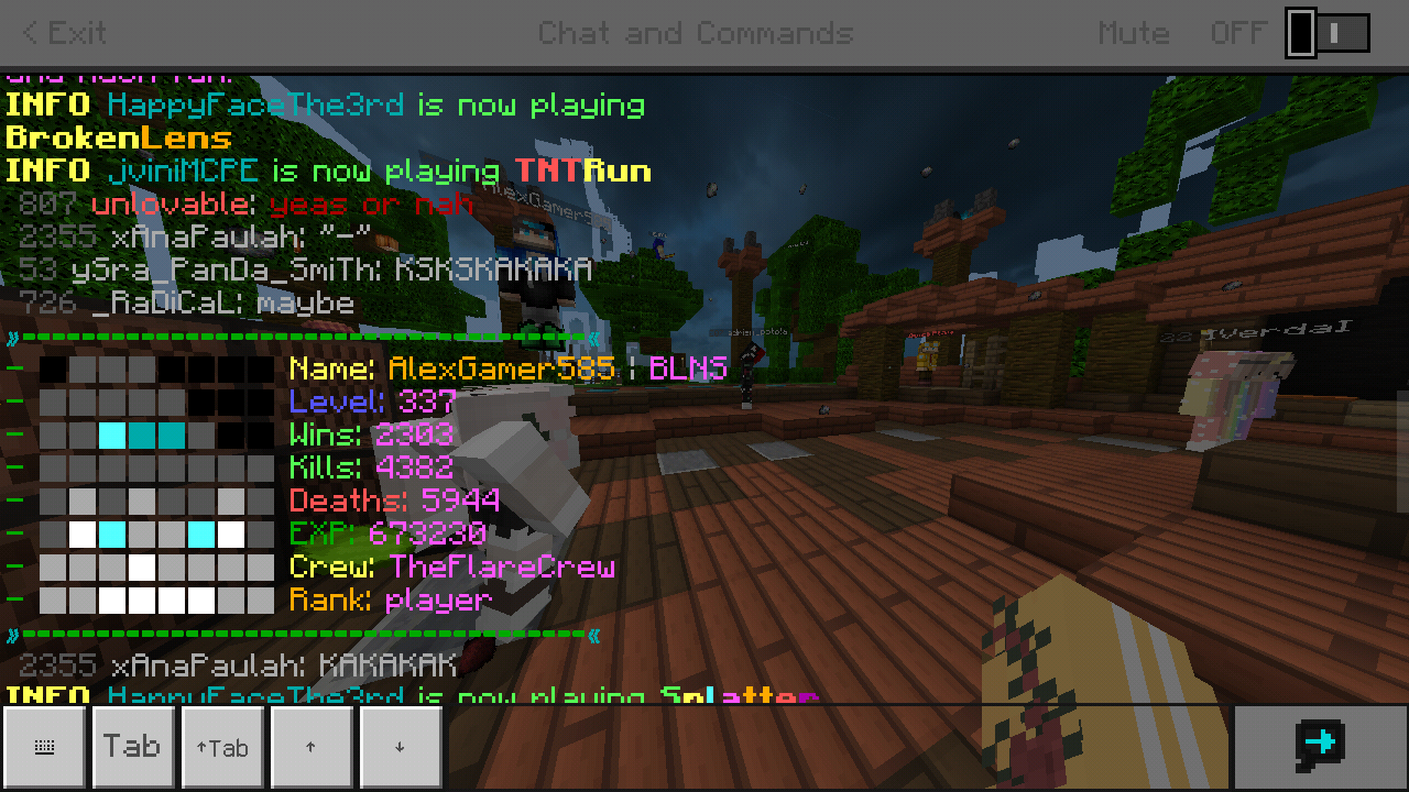 Minecraft_2019-03-02-00-14-02.png