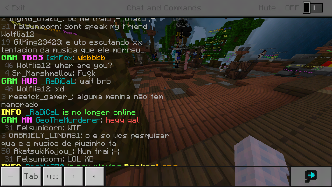 Minecraft_2019-03-06-20-02-56.png