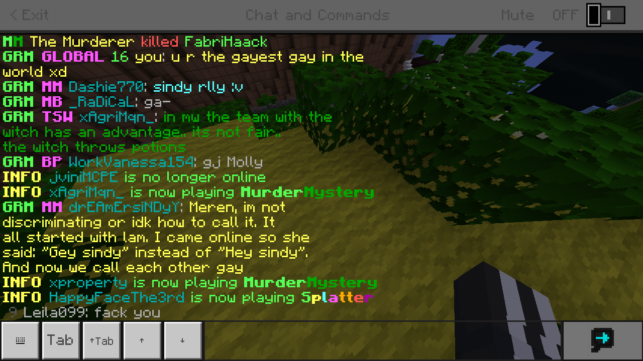 Minecraft_2019-03-07-20-07-01.png