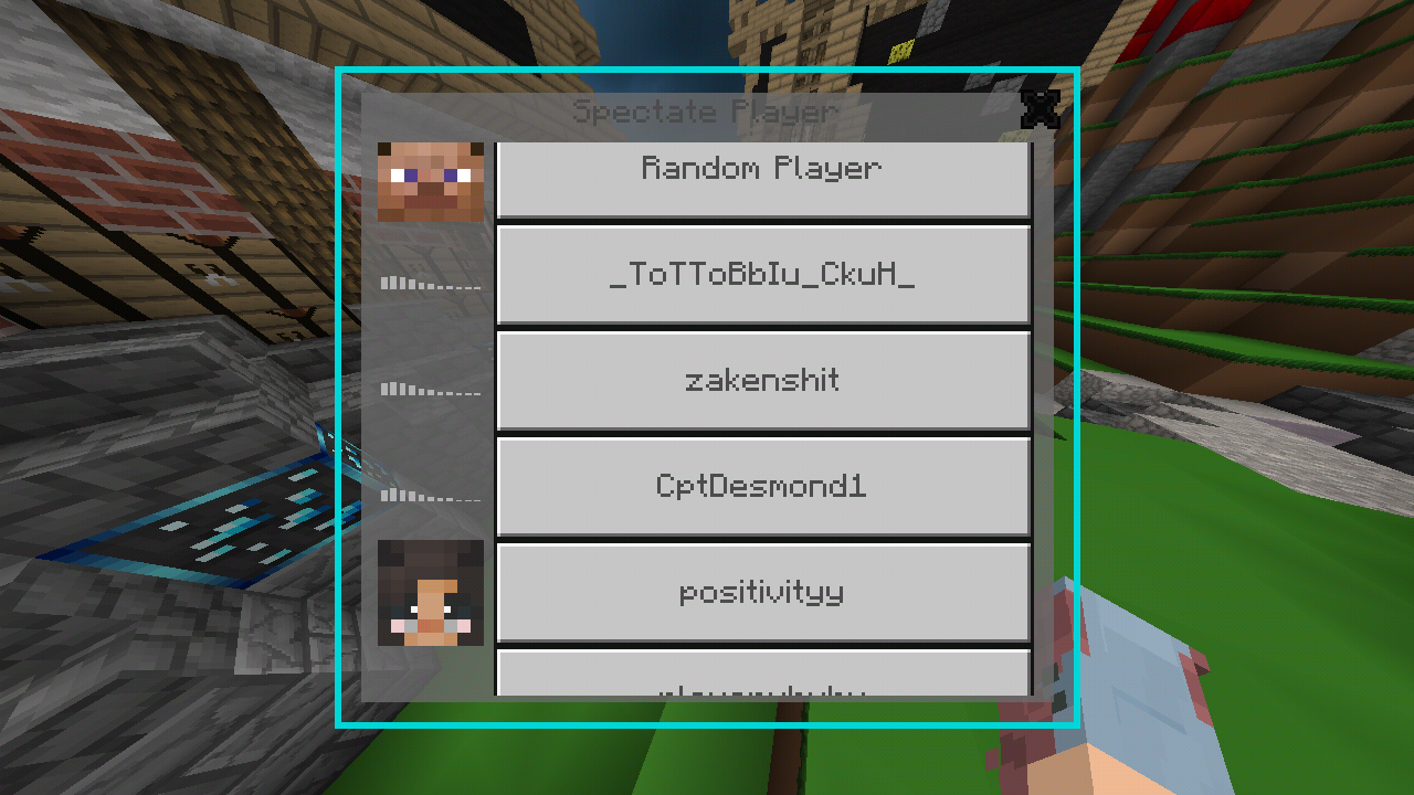 Minecraft_2019-03-09-13-49-53.png