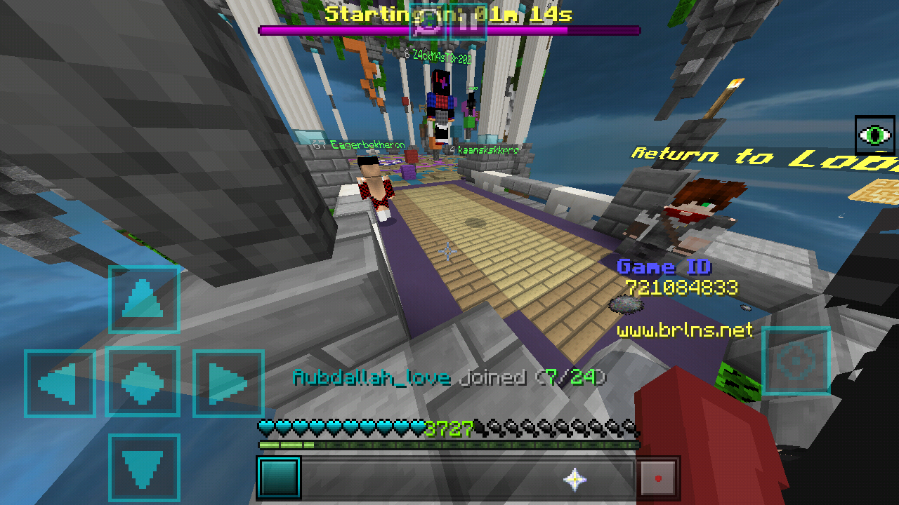 Minecraft_2019-03-15-16-48-53.png
