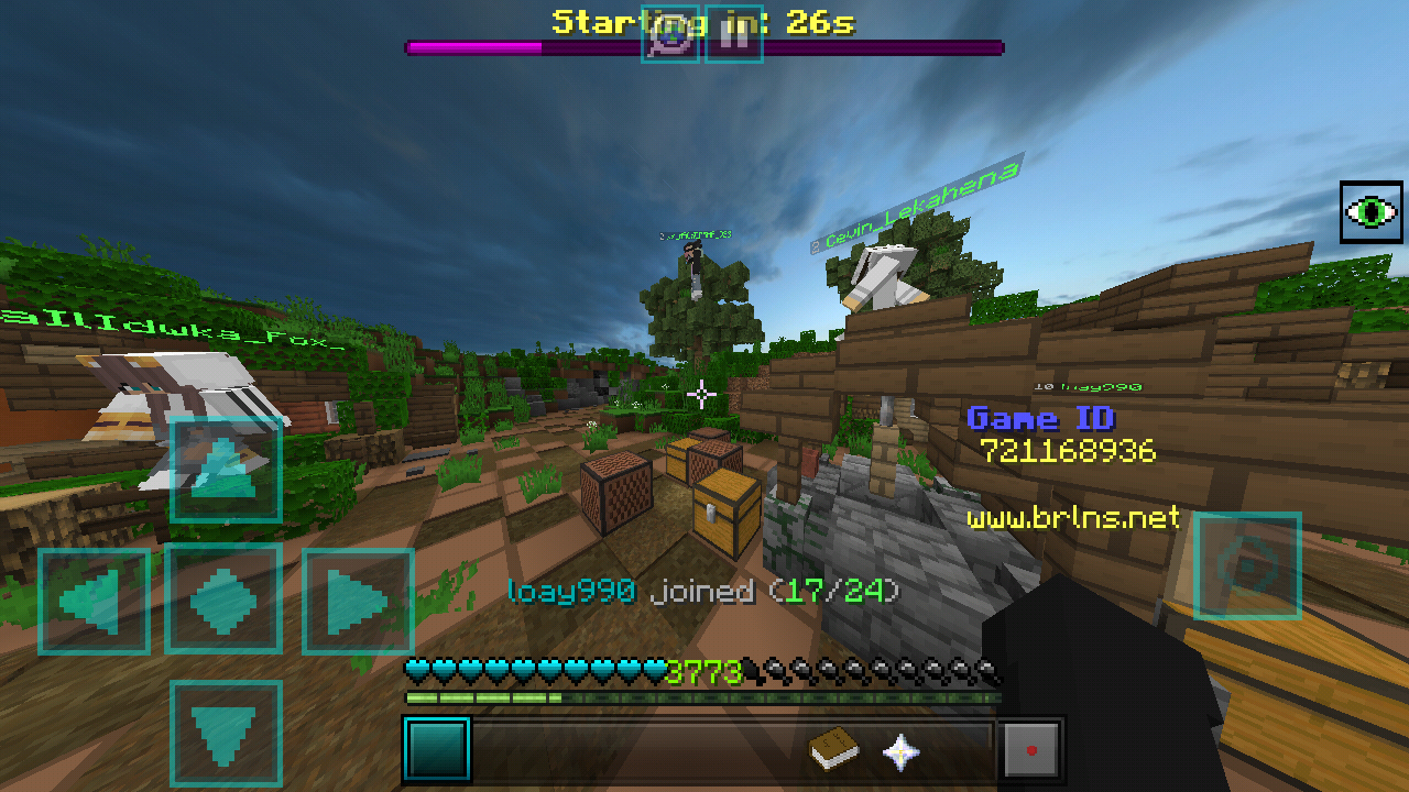 Minecraft_2019-03-19-13-04-48.png