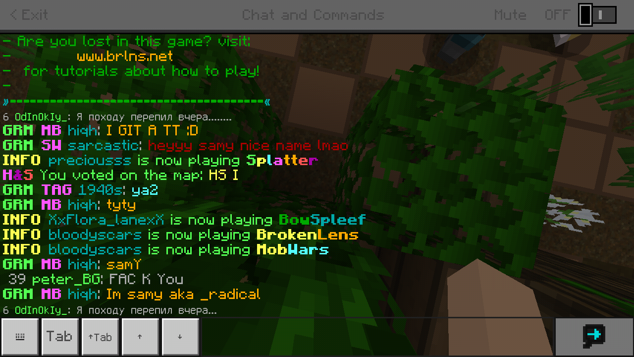 Minecraft_2019-03-24-19-31-53.png