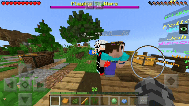 Minecraft_2019-03-25-17-43-26_1.gif