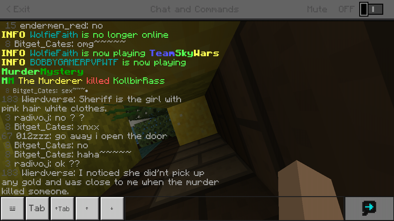 Minecraft_2019-03-26-07-17-04.png