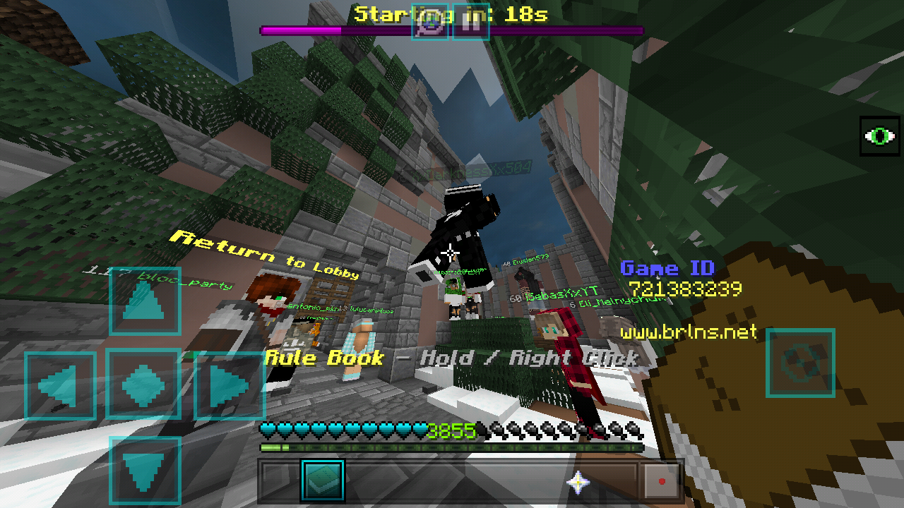 Minecraft_2019-03-28-21-56-44.png