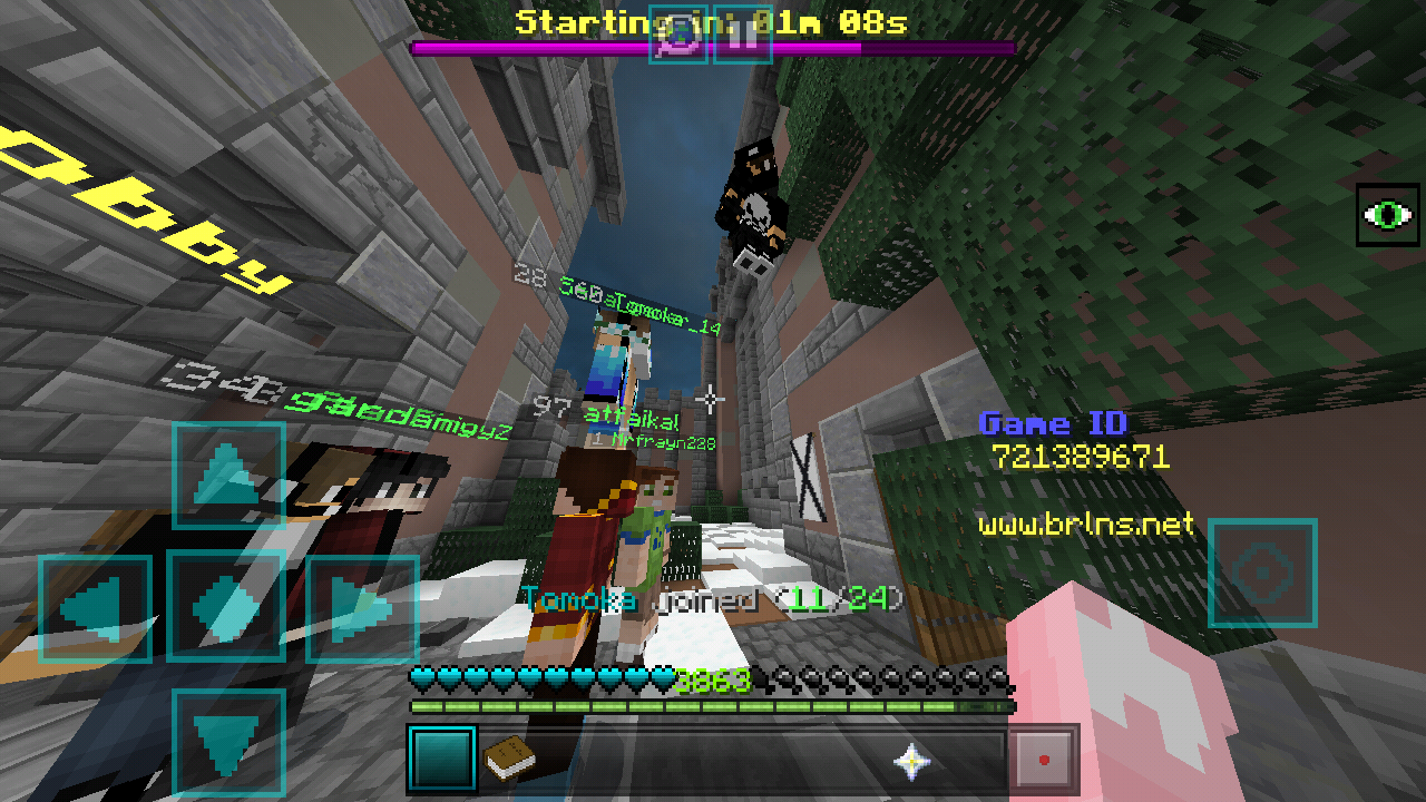 Minecraft_2019-03-29-07-53-26.png