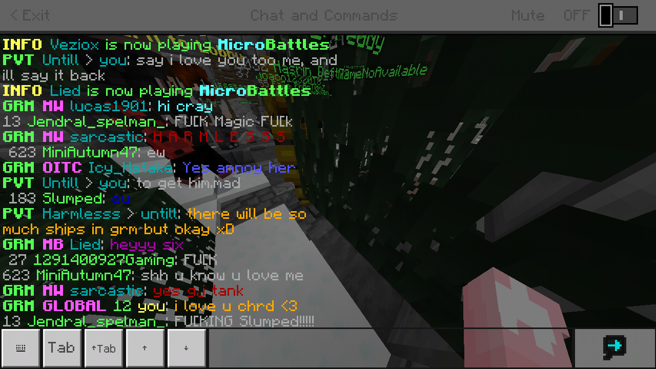 Minecraft_2019-04-02-04-22-00.png