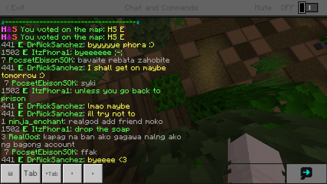 Minecraft_2019-04-04-09-13-07.png